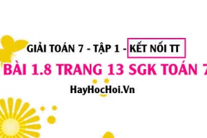 Bài 1.8 SGK Toán 7 tập 1 Kết nối tri thức